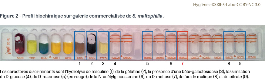 HY_XXXII_5_Labo_fig2