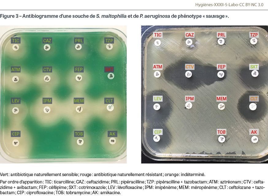 HY_XXXII_5_Labo_fig3